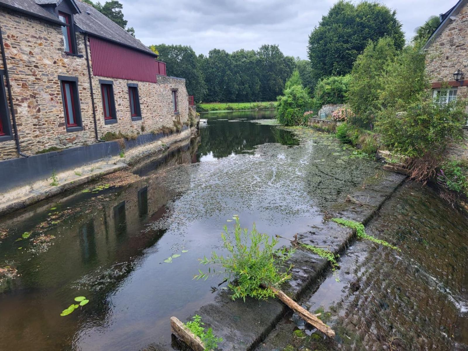 Gite De La Muse Centre Ville - Jardin Sérent 外观 照片